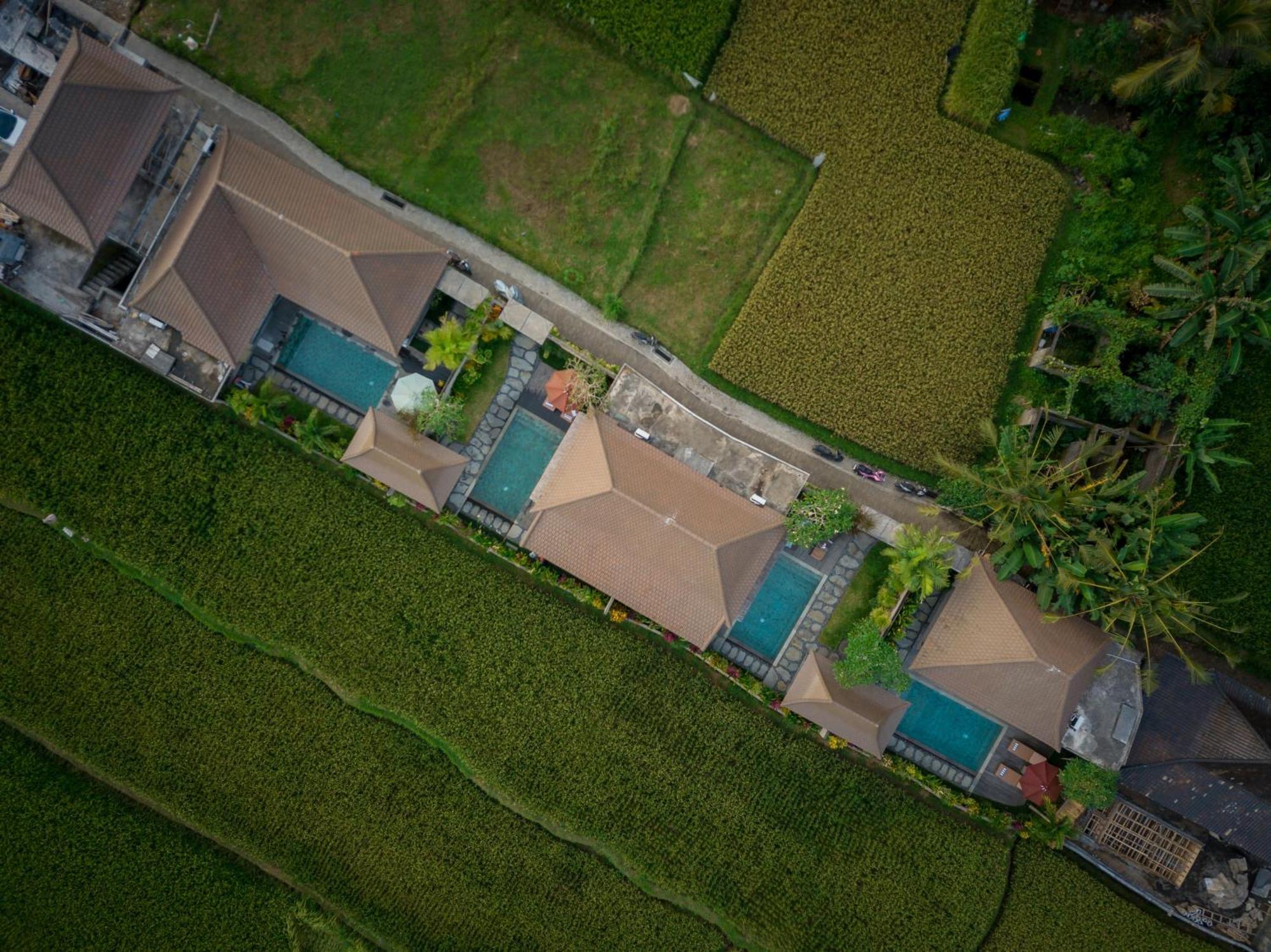 Happy Honeymoon Private Villa Ubud  Bagian luar foto