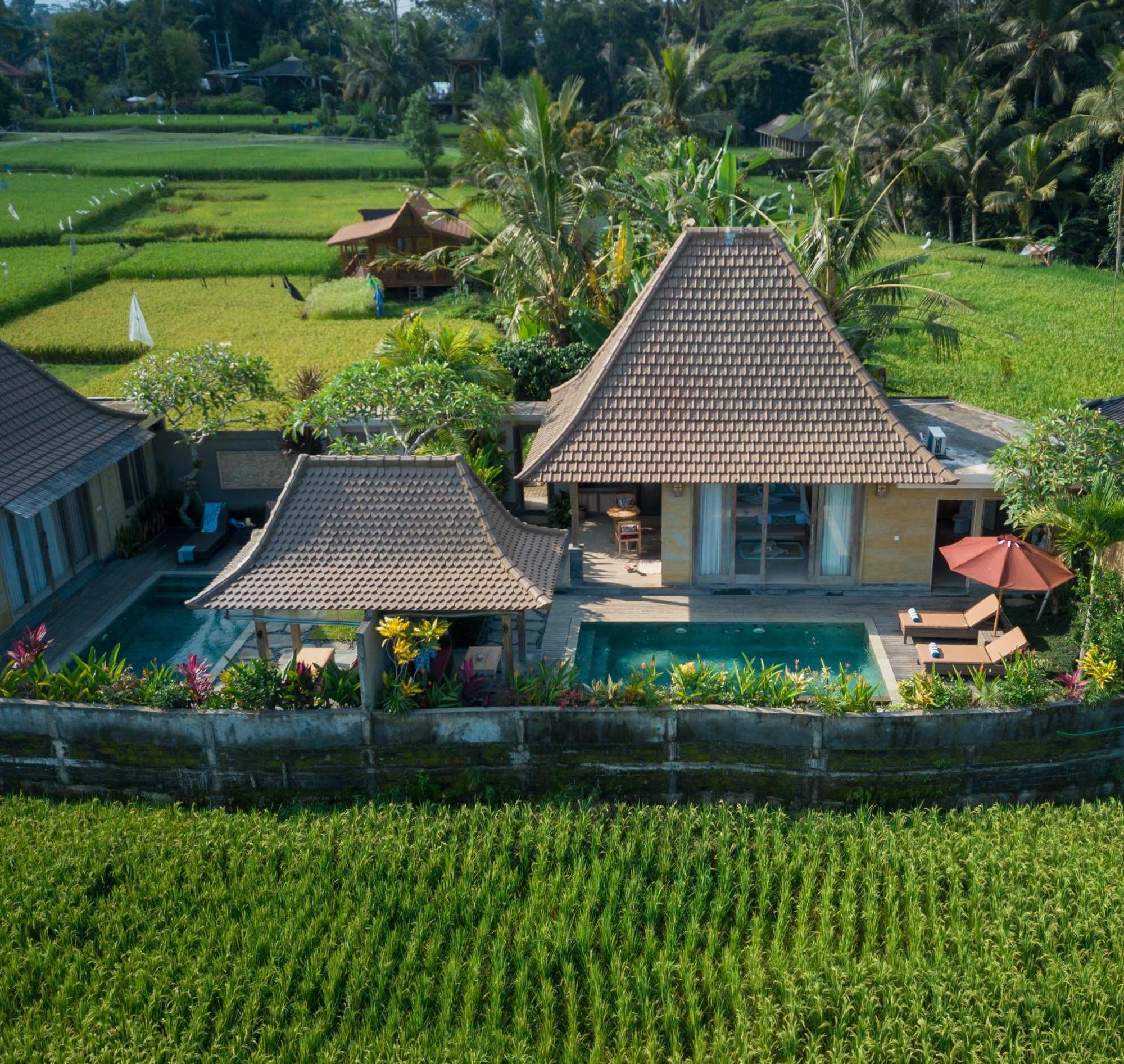 Happy Honeymoon Private Villa Ubud  Bagian luar foto